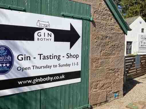 GIN-both